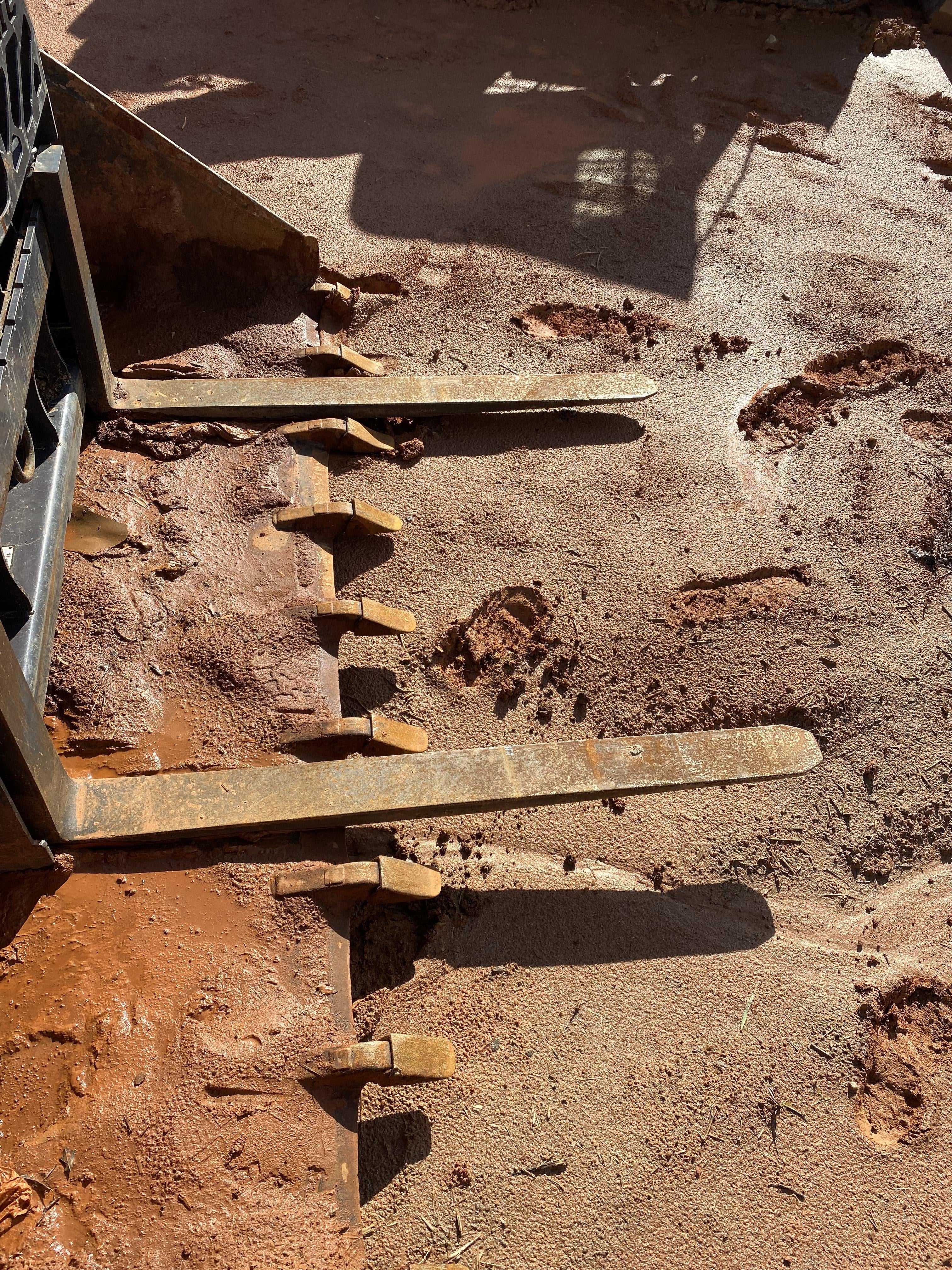 2020 PALADIN 48" Pallet Forks - Paladin