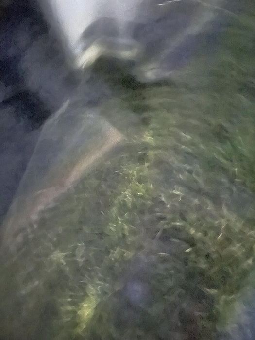 2022 PALADIN 48" Pallet Forks - Paladin