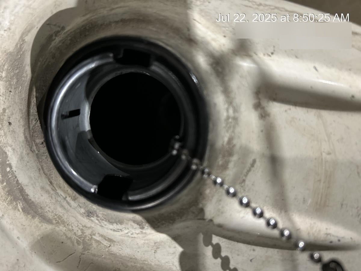 2019 WACKER NEUSON DT08