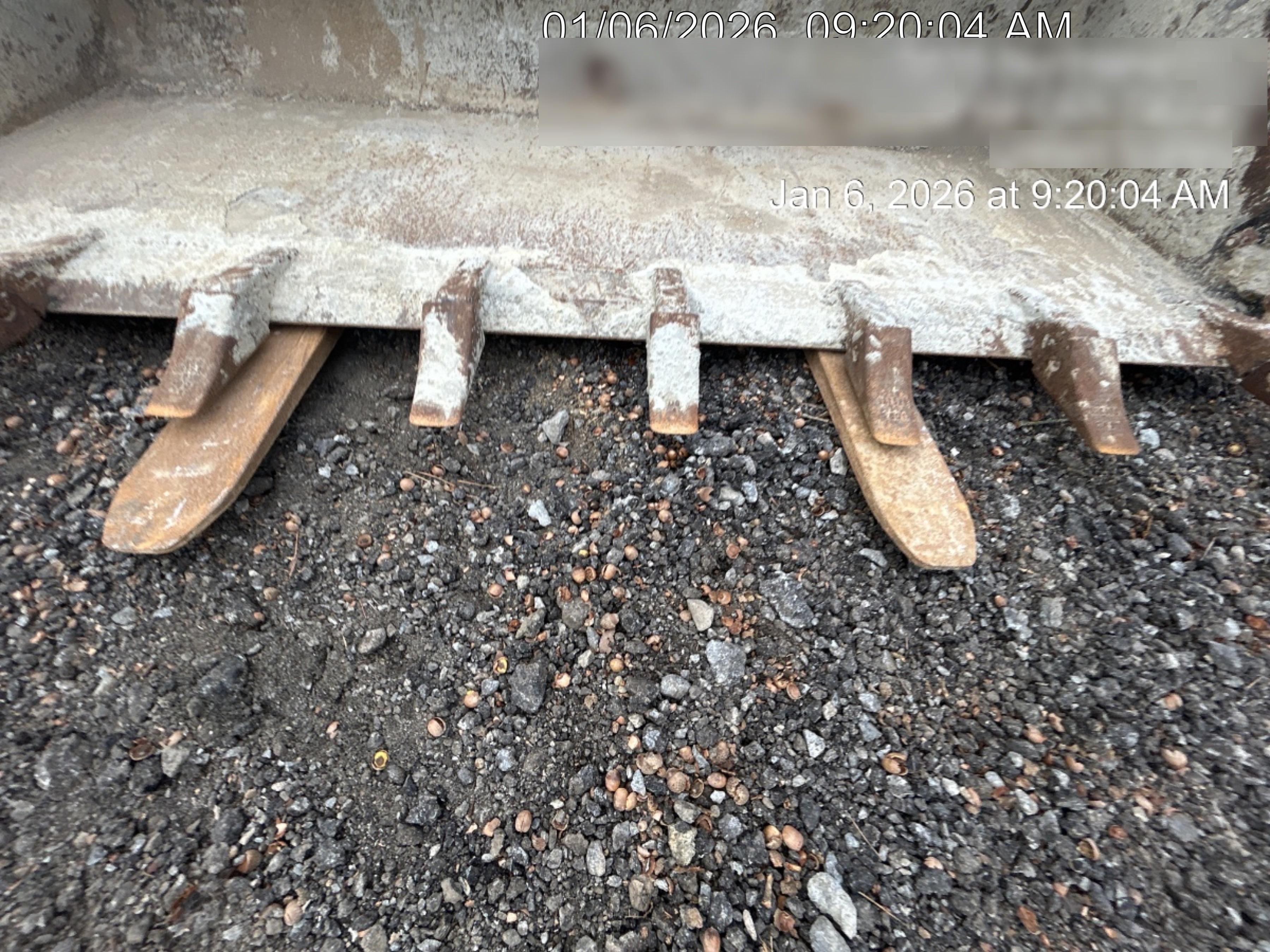 2025 ARROW MATERIAL HANDLING 48" Pallet Forks - Arrow