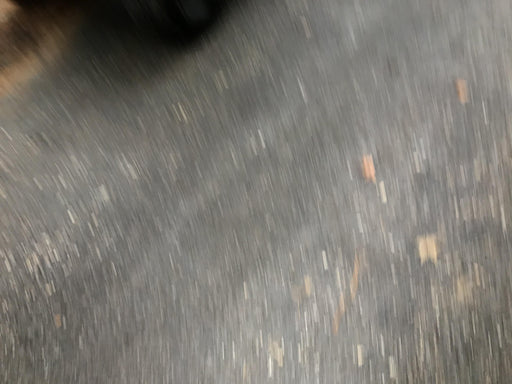 2019 Kubota RTV-XG850WL-H 4wd Utility Cart, Gas, 2 Seat, LED Strobe, Windshield Tempered Glass, Plastic Canopy, Wire Harness Kit, Backup Alarm