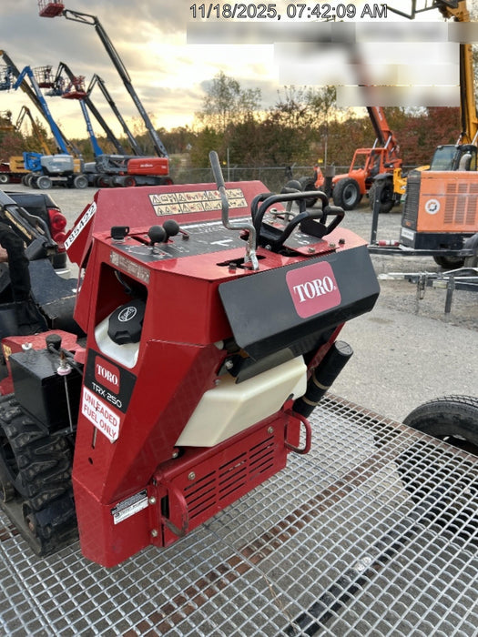 2021 TORO TRX-250