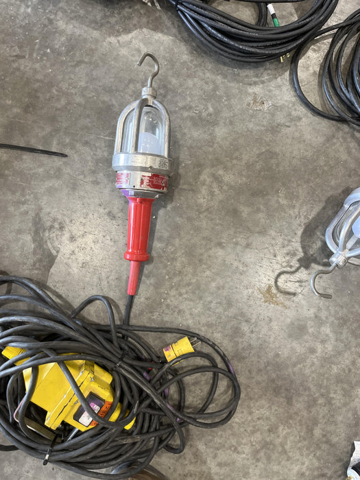 2021 WORKSITE LIGHTING DWXPLEDIL50-12V