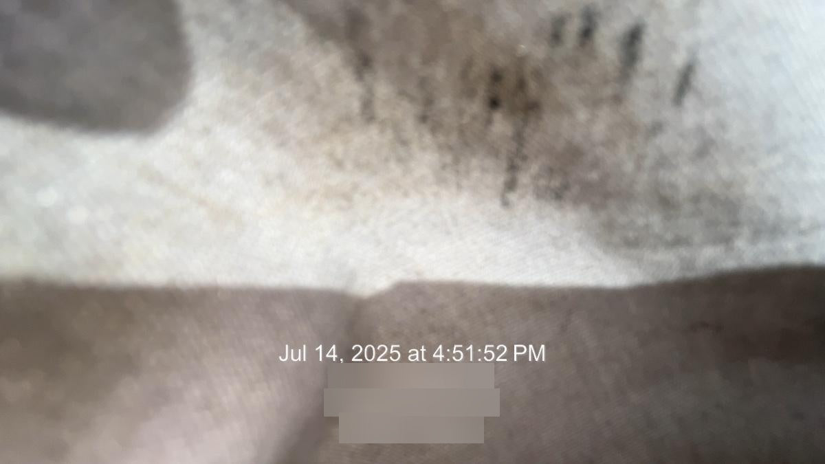 2019 PALADIN 48" Pallet Forks - Paladin