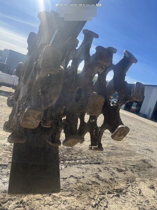 2021 TOKU SCW-24-LBSE