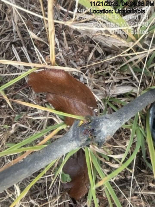 2022 BARRETO E4X6TBT