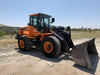 2021 DOOSAN DL250-5