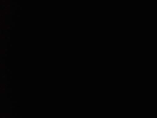 2018 Kubota RTV-X1120 Kubota RTV-X-1120WL-A w/Canopy, Strobe, Backup Alarm