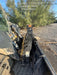 2021 BOBCAT PALLET FORKS HD