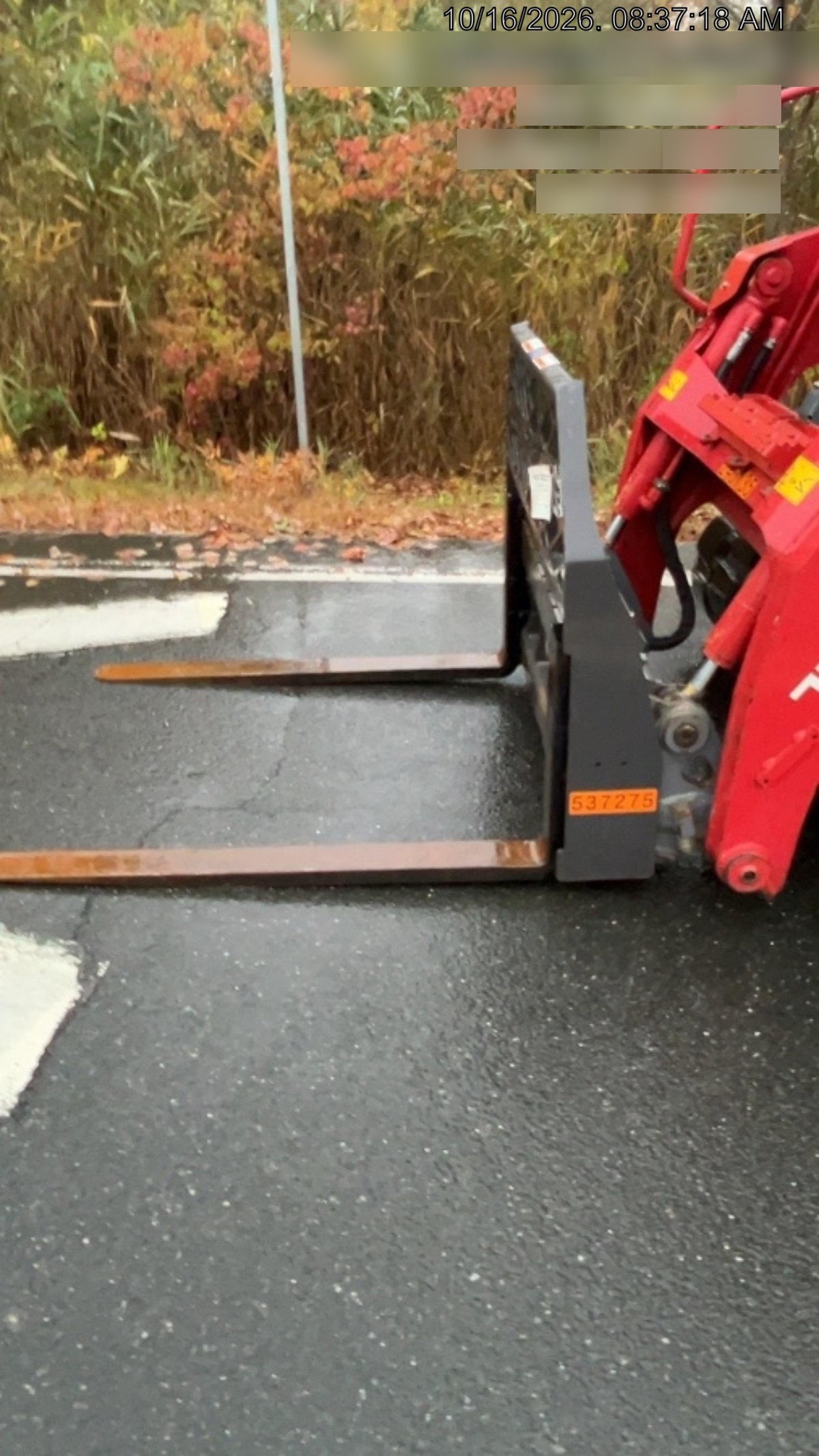 2025 PALADIN 48" Pallet Forks - Paladin
