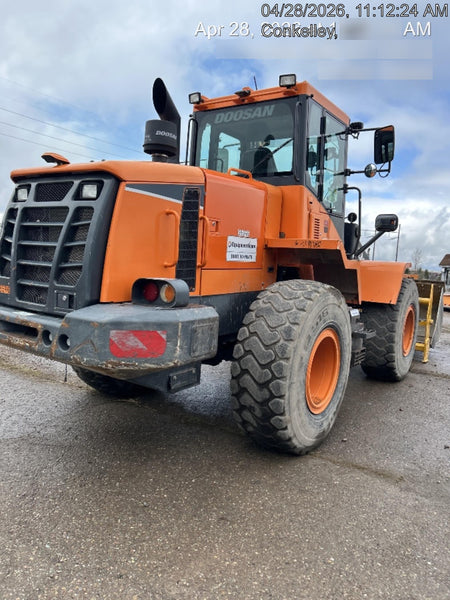 2019 DOOSAN DL250-5
