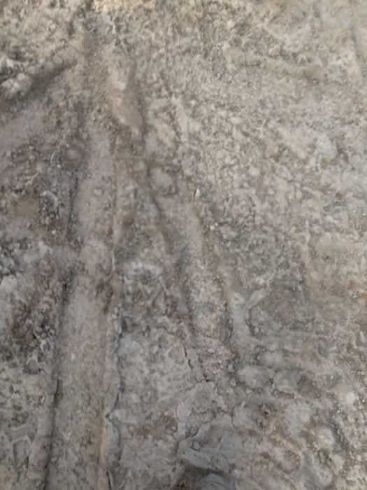 2020 HUSQVARNA FS400