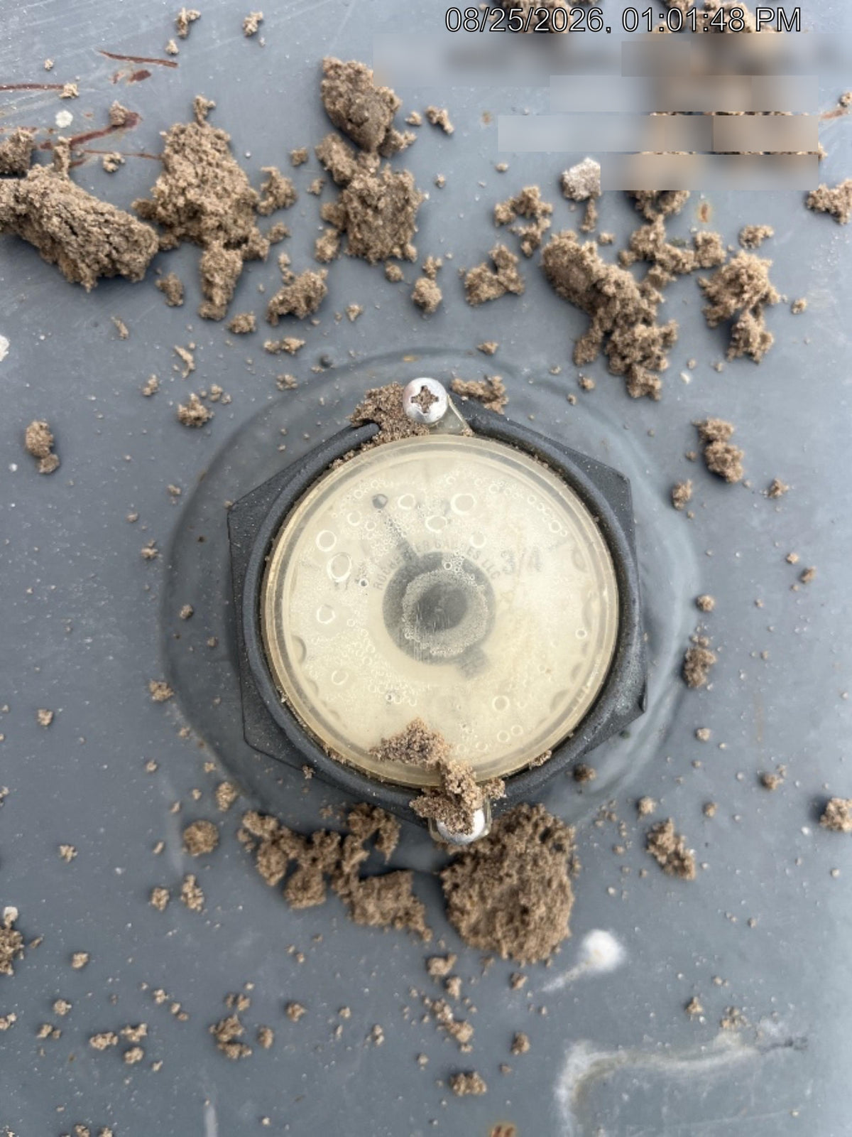 2021 MYERS-SETH A-DD4S/HA/T