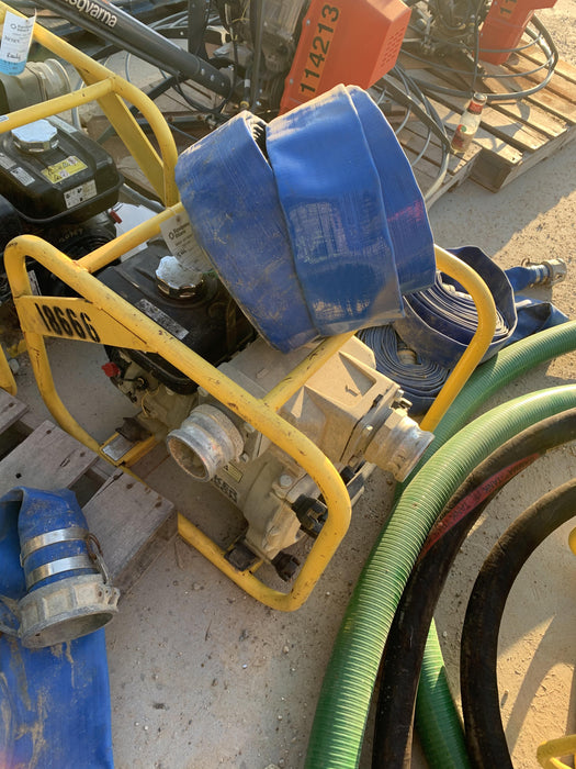 2019 WACKER NEUSON PT2