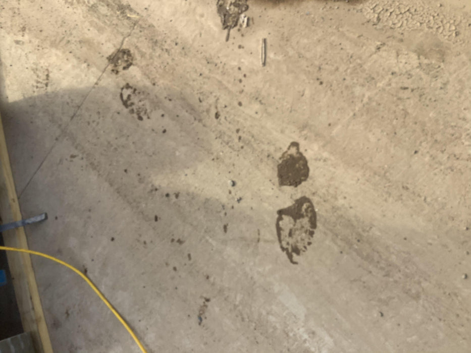 2020 GENIE Z-30/20N RJ