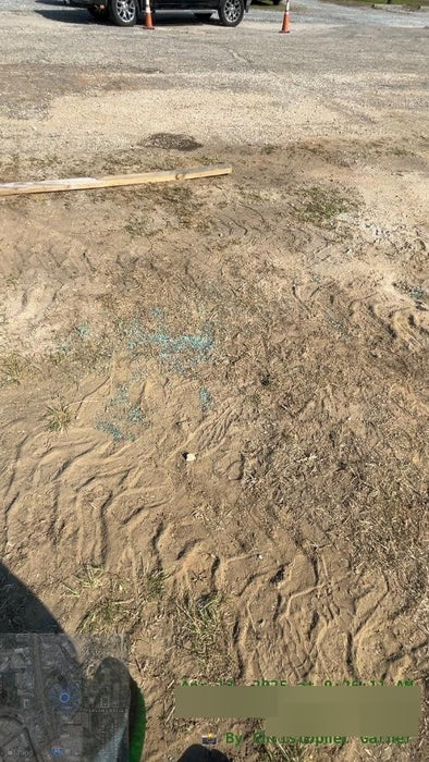 2020 Haulotte HTL9055 Standard w/None