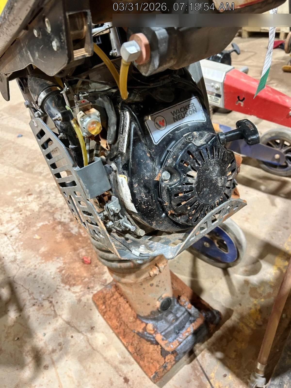 2021 WACKER NEUSON BS60-4As