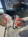 2023 HILTI DSH 900-X 16"