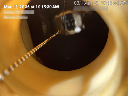 2019 WACKER NEUSON LTV6K-MH