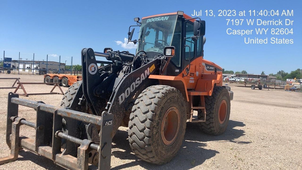 2021 DOOSAN DL250-5