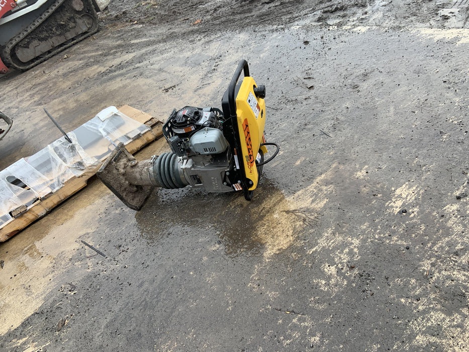 2020 WACKER NEUSON BS60-4As