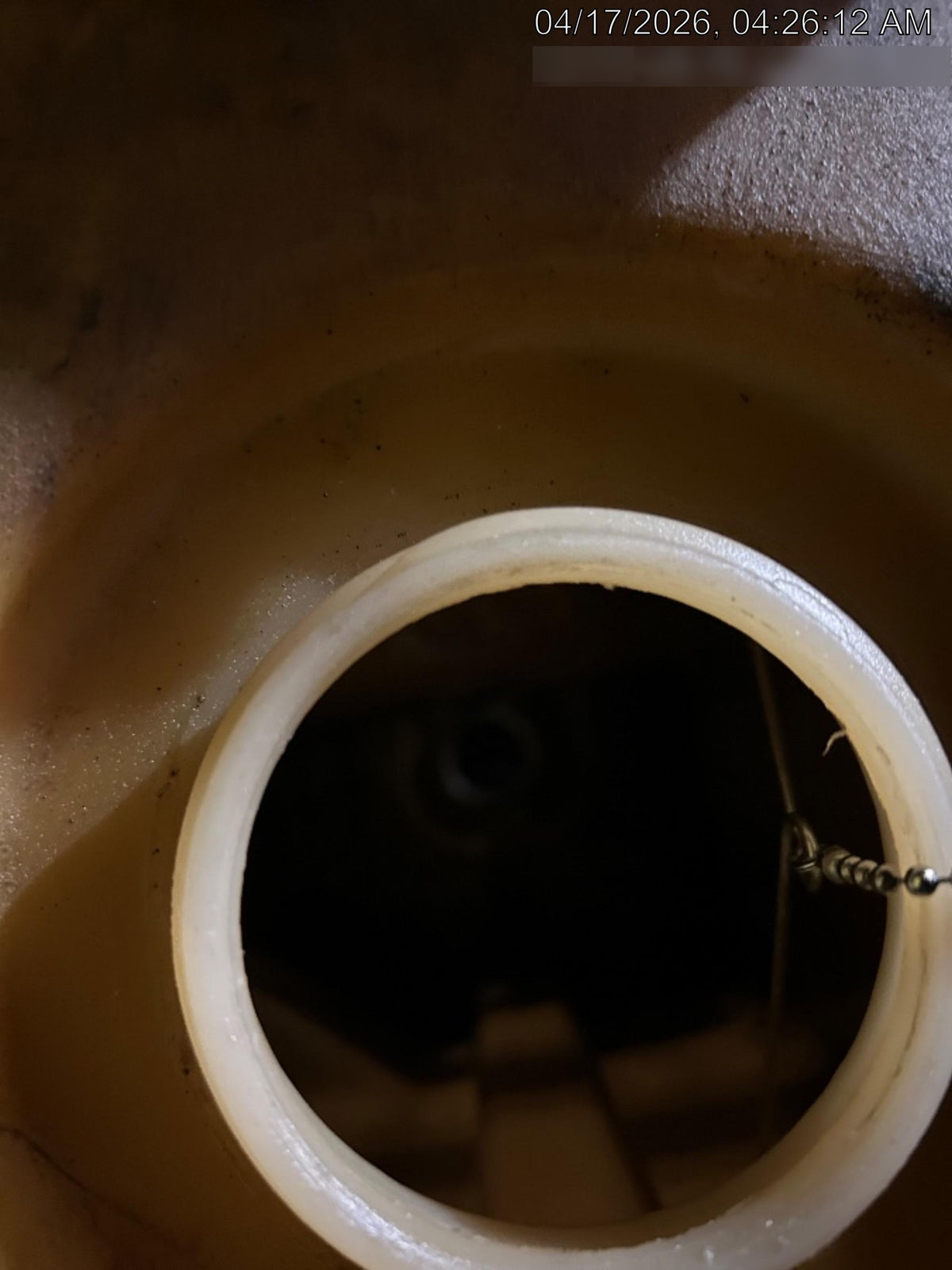 2020 WACKER NEUSON RTLx-SC3