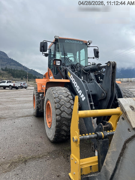 2019 DOOSAN DL250-5