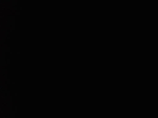 2019 Genie GS-4047 Folding rails with half height swing gate