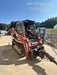 2019 TAKEUCHI TL10