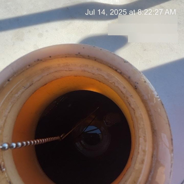 2019 WACKER NEUSON LTV6K-LED