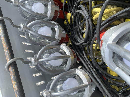 2021 WORKSITE LIGHTING DWXPLEDIL50-12V