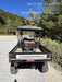 2023 Club Car CA1700D Canopy, Diesel, 4 Passenger