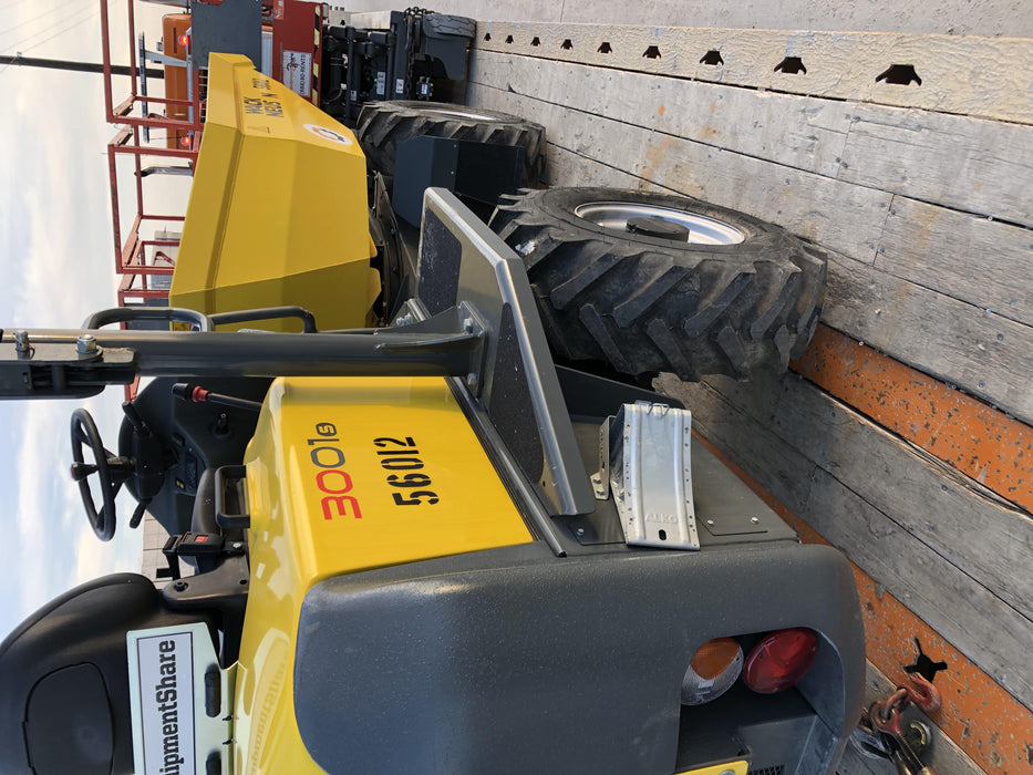 2019 WACKER NEUSON 3001