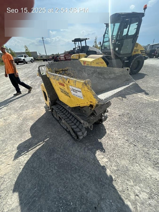 2019 WACKER NEUSON DT10