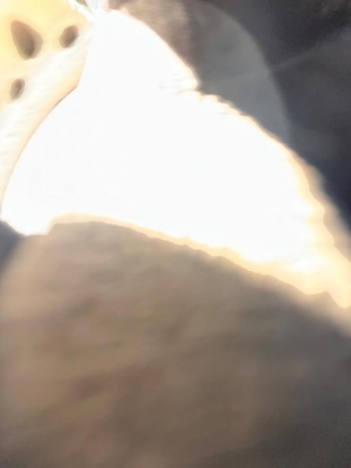 2024 LINCOLN ELECTRIC LE400