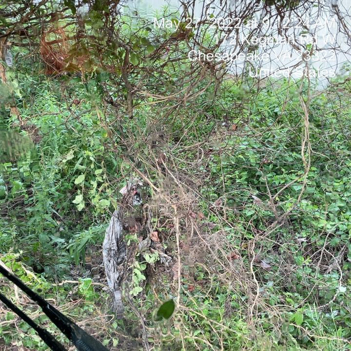 2021 PALADIN UTILITY GRAPPLE 11876-0022