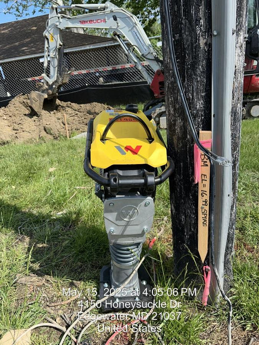 2025 WACKER NEUSON BS62-4Ab/28