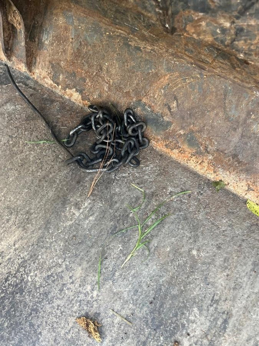 2022 PALADIN 30372A-0022