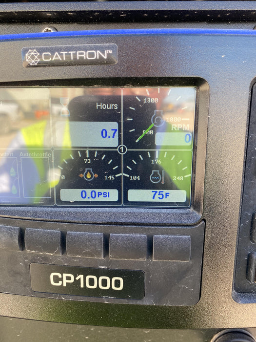 2022 PIONEER PP66S12L71-TD2.9L4