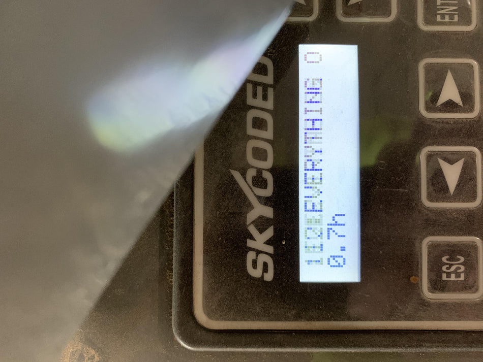2021 SKYJACK SJ4732