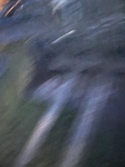 2022 PALADIN 48" Pallet Forks - Paladin