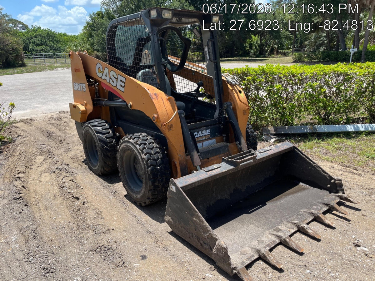 2019 CASE SR175