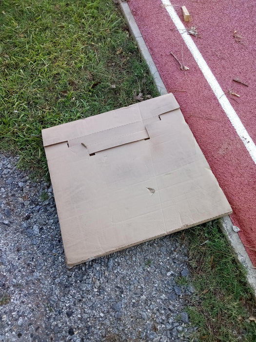 2020 HUSQVARNA FS 524