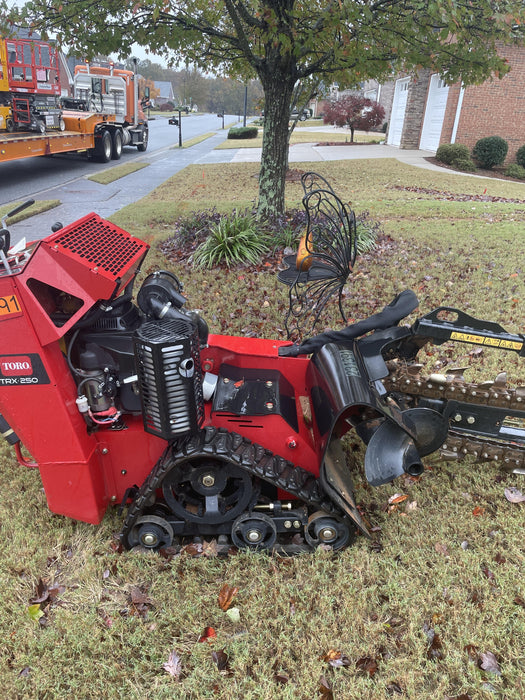 2022 TORO TRX-250