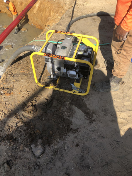 2019 WACKER NEUSON PT2