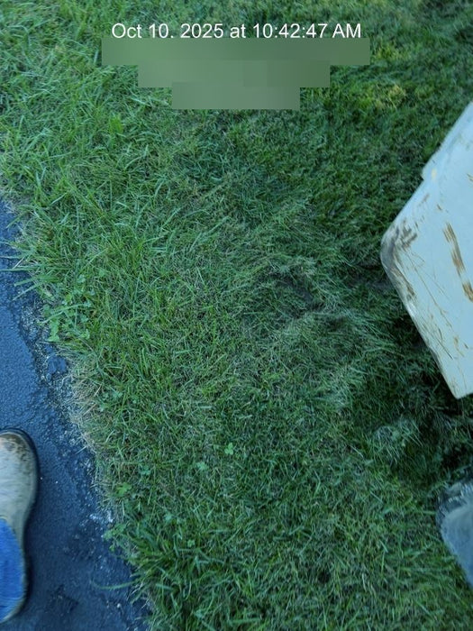 2020 TAKEUCHI TL8R2-CR