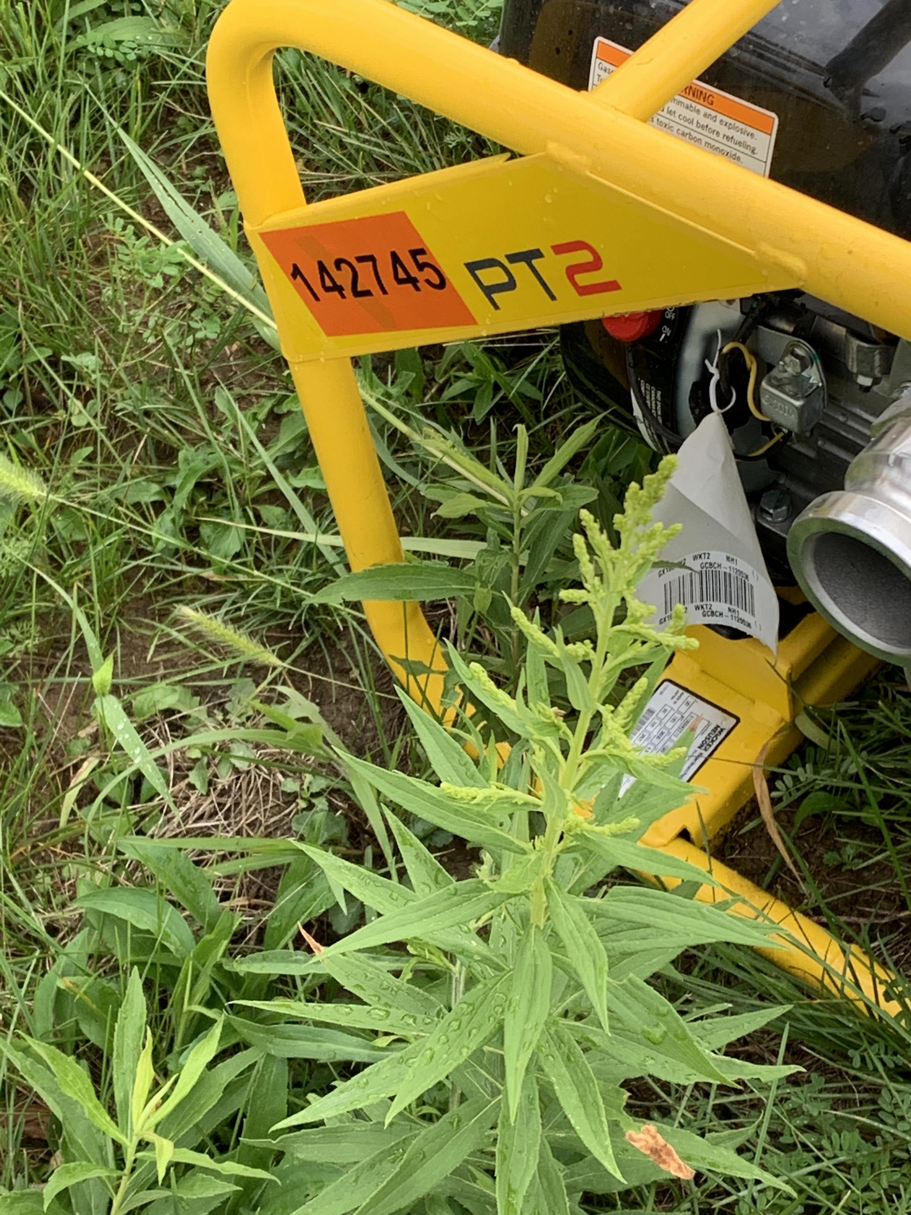 2021 WACKER NEUSON PT2A