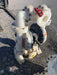 2022 INGERSOLL RAND PD30P-DPS-PTT-A