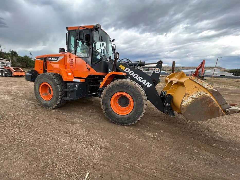 2021 DOOSAN DL250-5
