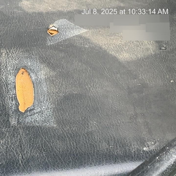 2019 Kawasaki Mule PRO-DXT Standard Options, Backup Alarm, Beacon, Plastic Hard Top, Poly Windshield, Horn Kit